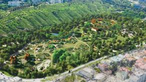 Когда будет обустроен Тбилисский дендрологический парк