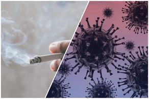 Smoking inhibits the production of antibodies in vaccinated people