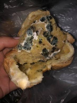 Mouldy pie sold at Kutaisi Airport cafe