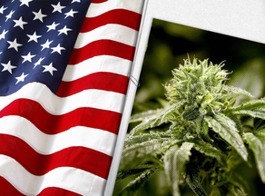 US House of Representatives votes in favor of cannabis legalization