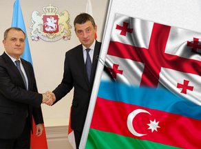 Георгий Гахария встретился с министром иностранных дел Азербайджана
