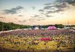 Pinkpop festival canceled in the Netherlands due to  coronavirus