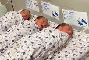 ლილე, სესილი და ანასტასია - თბილისში სამი ტყუპი დაიბადა - VIDEO