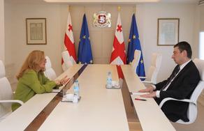 Премьер-министр Грузии встретился с послом Турции