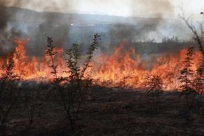Fire ravaging parts of Tkibuli municipality