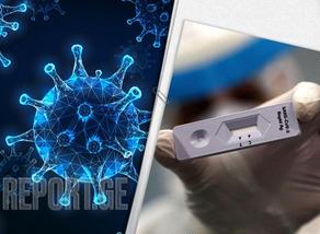 В мире подтверждено более 355 тысяч новых случаев коронавируса
