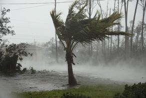 ბაჰამის კუნძულებზე ქარიშხალს შვიდი ადამიანი ემსხვერპლა - VIDEO