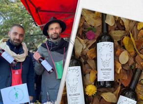 В парке Мтацминда в Тбилиси проходит Фестиваль нового вина