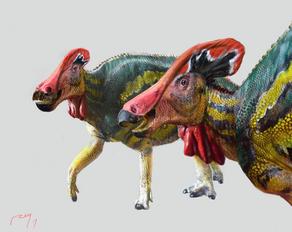 მექსიკაში დინოზავრის ადრე უცნობი სახეობა აღმოაჩინეს