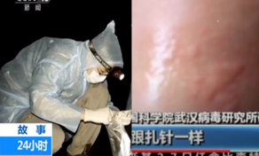 Wuhan lab scientists release alarming footage  - VIDEO