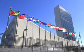 Совет ООН по правам человека соберет внеочередное заседание