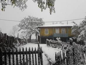 В высокогорных селах Аджарии выпал снег- ФОТО