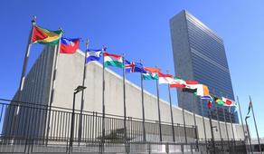 UN Security Council adopts resolution on free travel