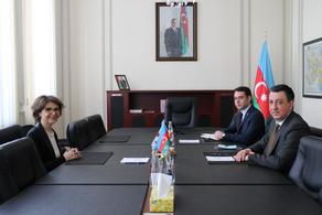 Элисо Болквадзе встретилась с послом Азербайджана