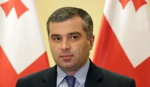 Georgian MP says Ivanishvili pulls the strings