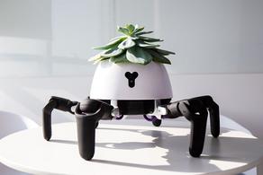 Scientists create plant-robot - PHOTO