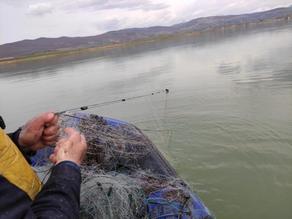 На озере Базалети выявлены факты незаконного рыболовства