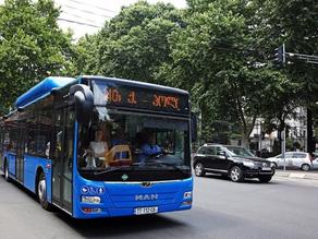 Гамкрелидзе: вопрос запуска общественного транспорта скоро решится