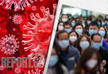 The Guardian: Когда закончится пандемия и что такое эндемия?
