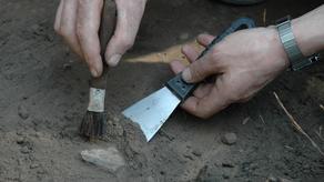 პოლონეთში 5,5 ათასი წლის წინანდელი ძველი სამარხები აღმოაჩინეს