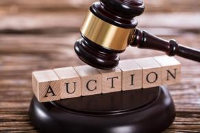 Auction of Finance Ministry ends