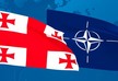 NATO-ს ქვეყნების თავდაცვის მინისტრები ქართველ და უკრაინელ კოლეგებს შეხვდებიან