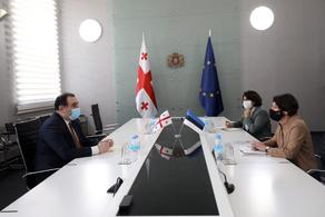 Министр образования Грузии встретился с послом Эстонии