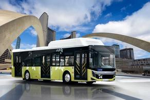 რომელ ქალაქებზე გაანაწილებენ 175 ახალ ავტობუსს