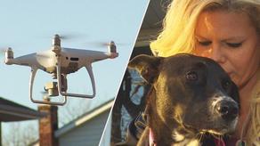 Lost dogs being searched by drones in Britain