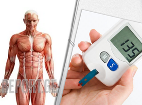 Scientists: High blood sugar damages muscles
