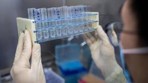 Ученые работают над созданием 110 потенциальных вакцин от COVID-19