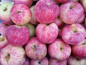 ვაშლის რეალიზაციის პრობლემას შესაძლოა, ვერც სუბსიდიამ უშველოს
