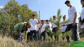 Грузия присоединяется к Международному дню посадки деревьев - ФОТО