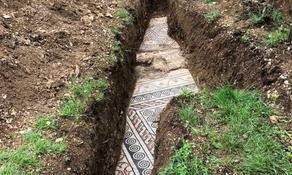 Ancient Roman mosaic floor discovered under vines in Italy - PHOTO