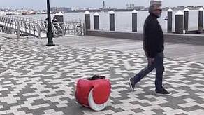 რობოტი ჩემოდანი, რომელიც პატრონს უკან დაჰყვება - VIDEO