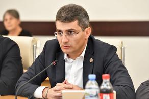 Mamuka Mdinaradze says Akaki Zoidze's initiative will be discussed