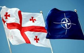 Сегодня состоится саммит НАТО, на котором будет обсуждаться вопрос Грузии