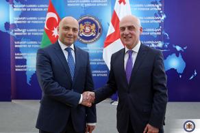 Давид Залкалиани встретился с министром культуры Азербайджана