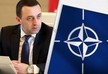 Гарибашвили: У Грузии есть все практические элементы для вступления в НАТО